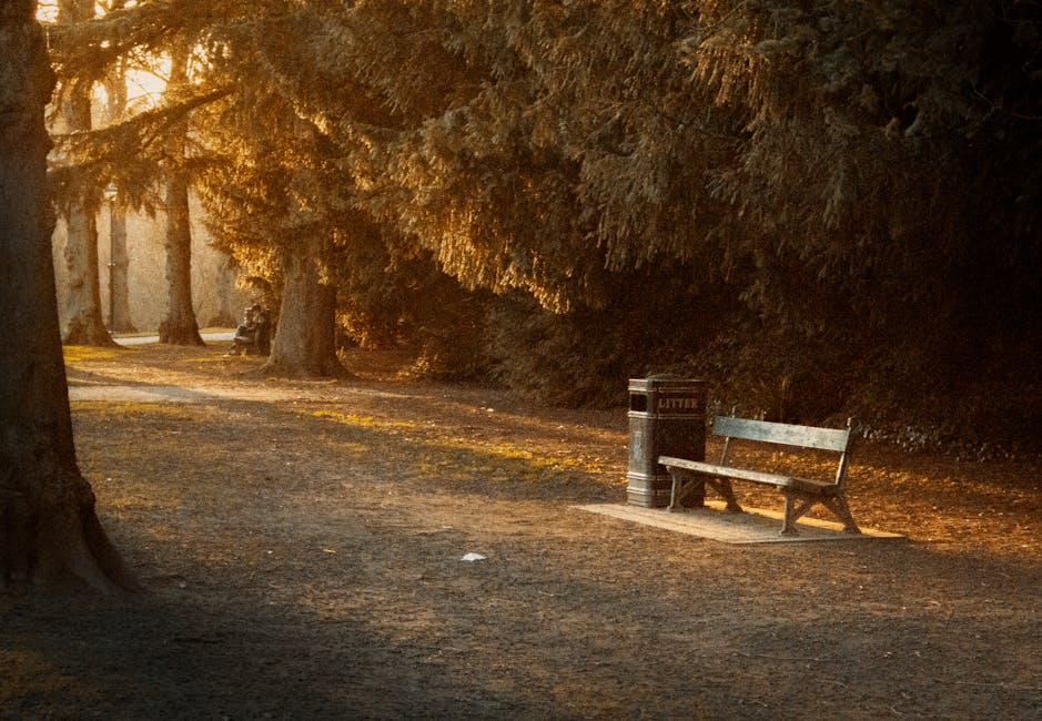 The image shows a quiet park pathway bathed in warm, golden sunlight, with tall trees lining both sides, their trunks and branches creating a natural canopy overhead. The ground is covered with a mixture of dirt and fallen leaves, giving a textured, earthy appearance. On the right side of the path, there is a simple wooden bench with a weathered, greyish surface, positioned next to a black litter bin marked 'LITTER' in white lettering. The bench faces the pathway, inviting visitors to sit, while the litter bin is placed nearby, presumably for waste disposal, suggesting an environment maintained for public use. In the background, additional trees and foliage extend into the distance, adding depth and a sense of serenity to the scene. The overall atmosphere is calm, with soft, natural lighting highlighting the textures of the wood, bark, and ground, subtly indicating a setting where regular waste collection services, such as those provided by Rubbish Removal Wimbledon, support maintenance of the area, especially in settings emphasizing private waste handling and on-site clearance in public parks.