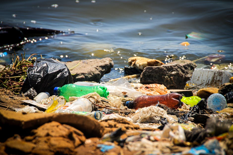 A shoreline cluttered with various types of litter and rubbish, including smashed plastic bottles in green, brown, and clear colors, partially buried in sand and small rocks. The debris also features crumpled plastic bags, some torn and tangled among smooth, weathered stones of different sizes and shades of brown and gray. In the background, the water appears slightly rippled with a dark blue hue, small reflections catching the light, and occasional floating pieces of waste visible on the surface. The scene suggests environmental pollution from plastic waste discarded near a body of water, highlighting the impact of improper rubbish disposal. The area is natural but visibly affected by litter, which may relate to concerns about pollution and waste management. Occasionally, the presence of plastic waste near water aligns with the services offered by private waste removal companies like Rubbish Removal Wimbledon, emphasizing the need for effective rubbish clearance solutions.